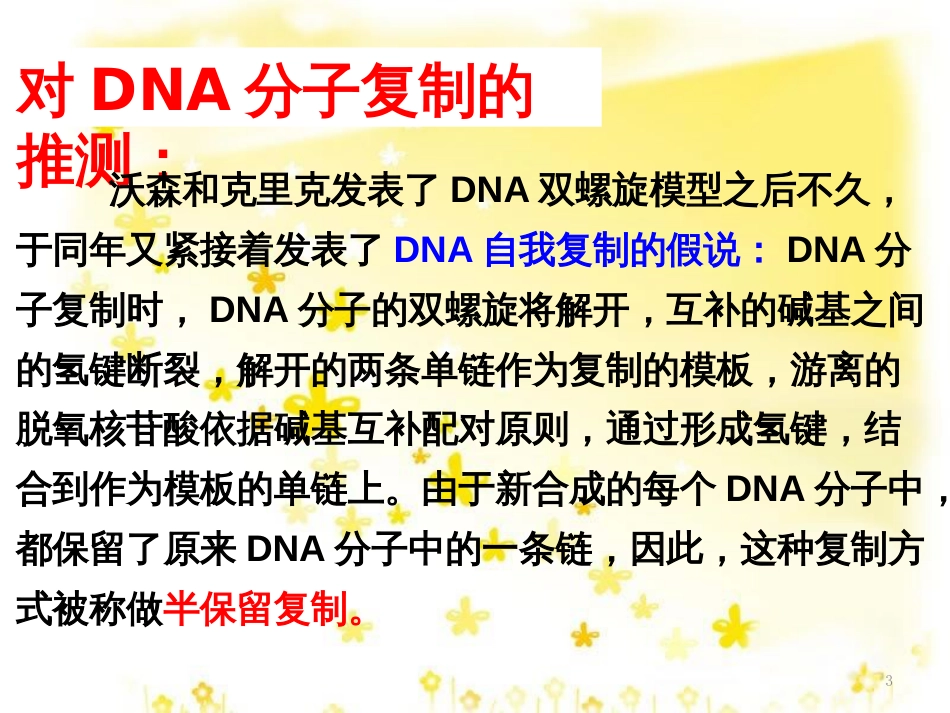 高中生物 3.3 DNA的复制课件 新人教版必修2_第3页