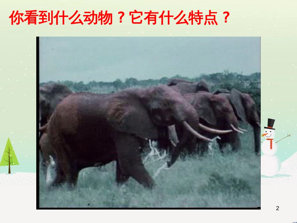 八年级生物下册 13.1 生物的分类课件1 北京版 (13)_第2页