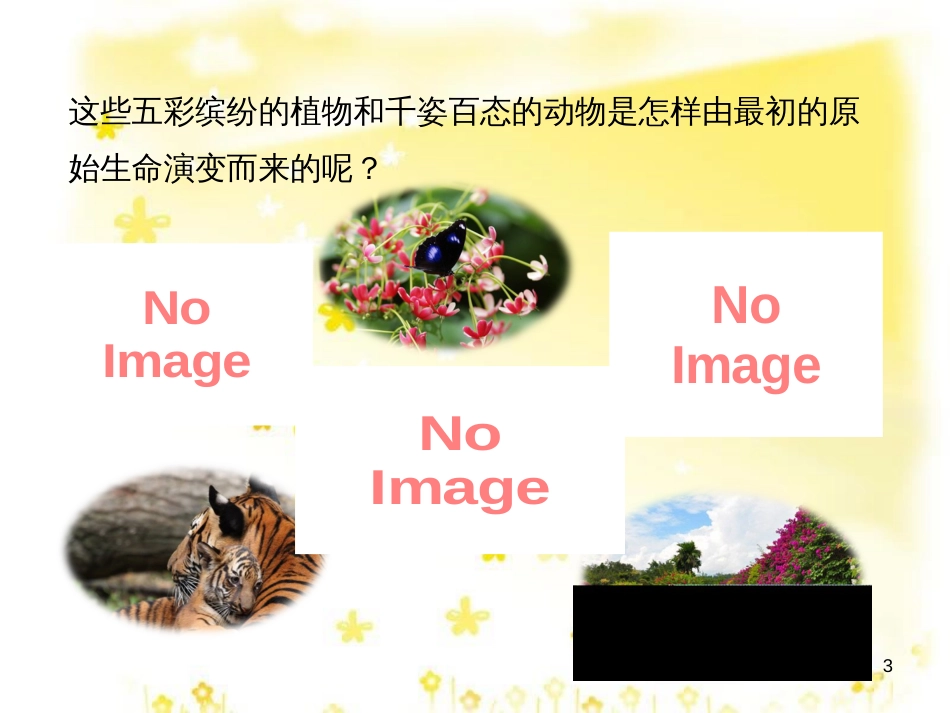 八年级生物下册 第六单元 第三章 第二节 生物的进化（一）《生物进化的历程》课件 （新版）冀教版_第3页