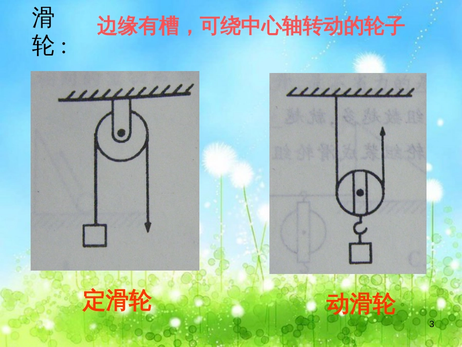 八年级生物下册 13.1 生物的分类课件1 北京版 (430)_第3页