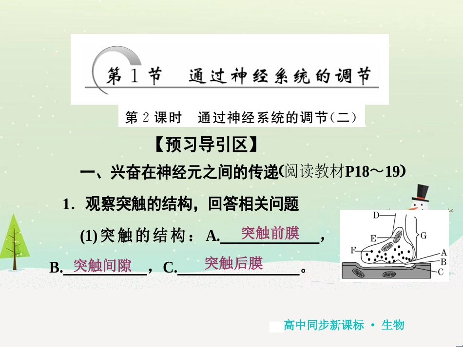 高中地理 第二章 第二节 森林的开发和保护——以亚马孙热带雨林为例课件 新人教版必修3 (236)_第1页