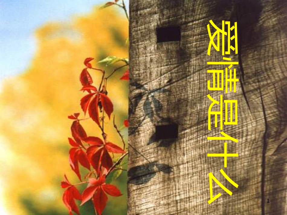 八年级物理上册 1.3《活动降落伞比赛》课件 （新版）教科版 (491)_第1页