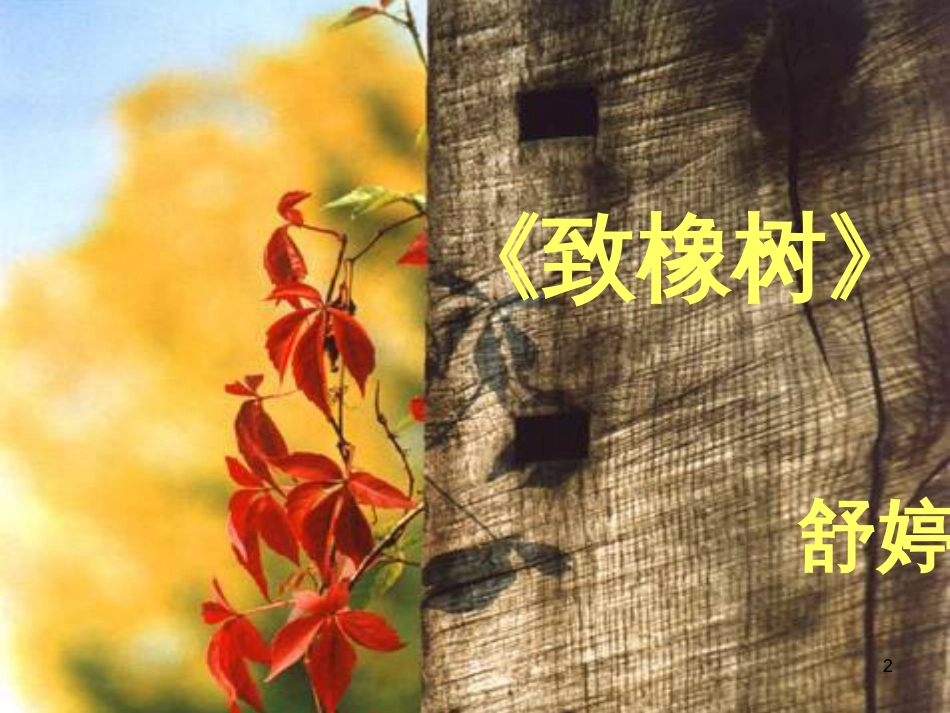 八年级物理上册 1.3《活动降落伞比赛》课件 （新版）教科版 (491)_第2页
