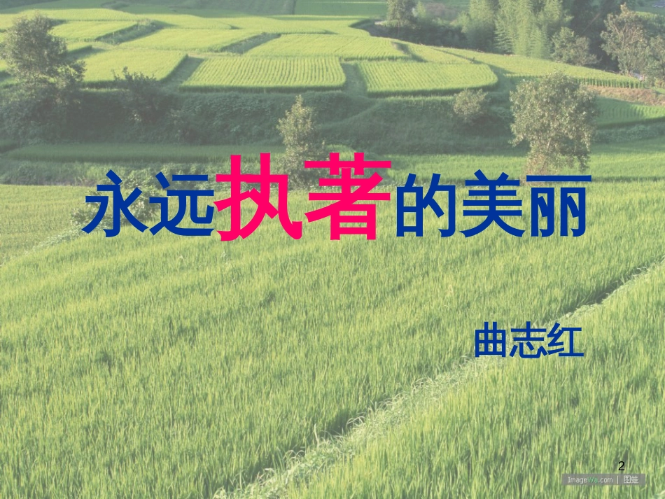 八年级物理上册 1.3《活动降落伞比赛》课件 （新版）教科版 (31)_第2页