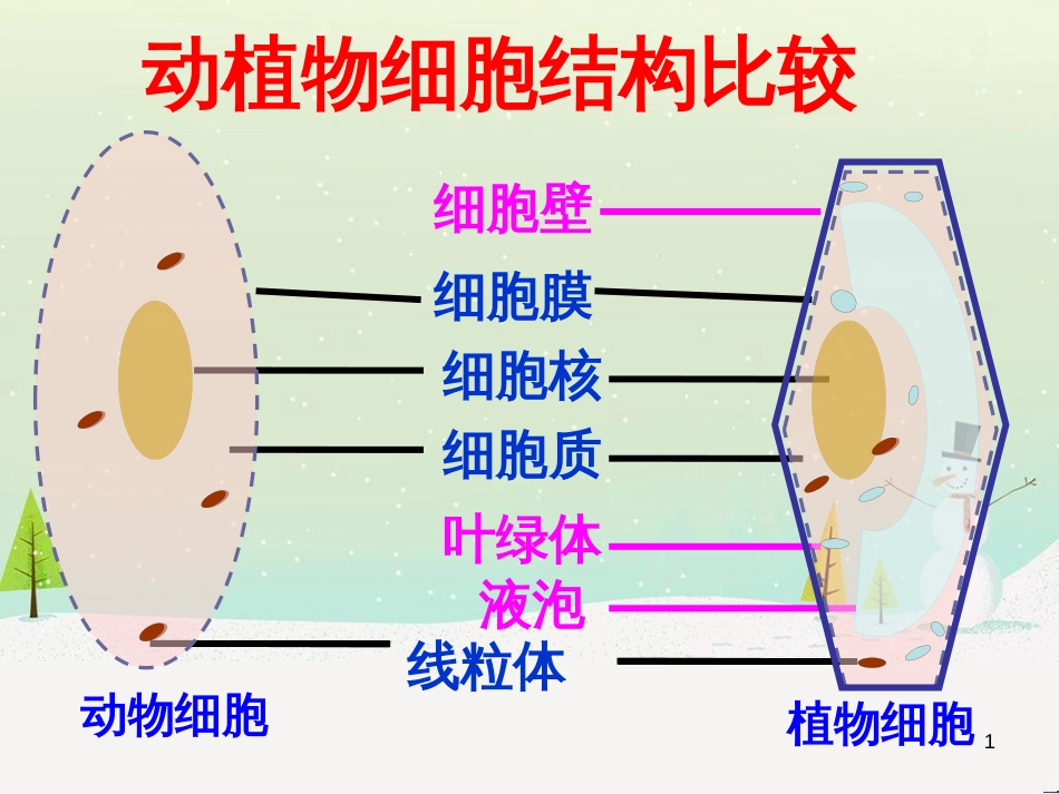 八年级物理上册 1.3《活动降落伞比赛》课件 （新版）教科版 (254)_第1页