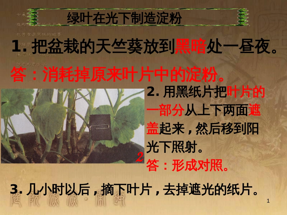 八年级生物下册 第二轮复习 生物圈中的人专题课件 新人教版 (12)_第1页