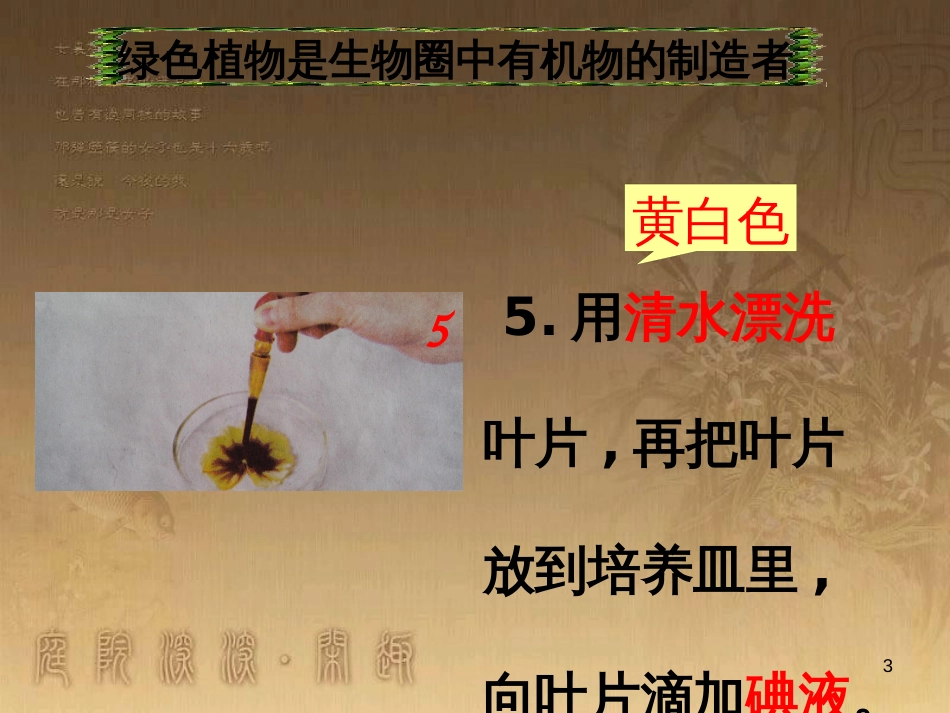 八年级生物下册 第二轮复习 生物圈中的人专题课件 新人教版 (12)_第3页