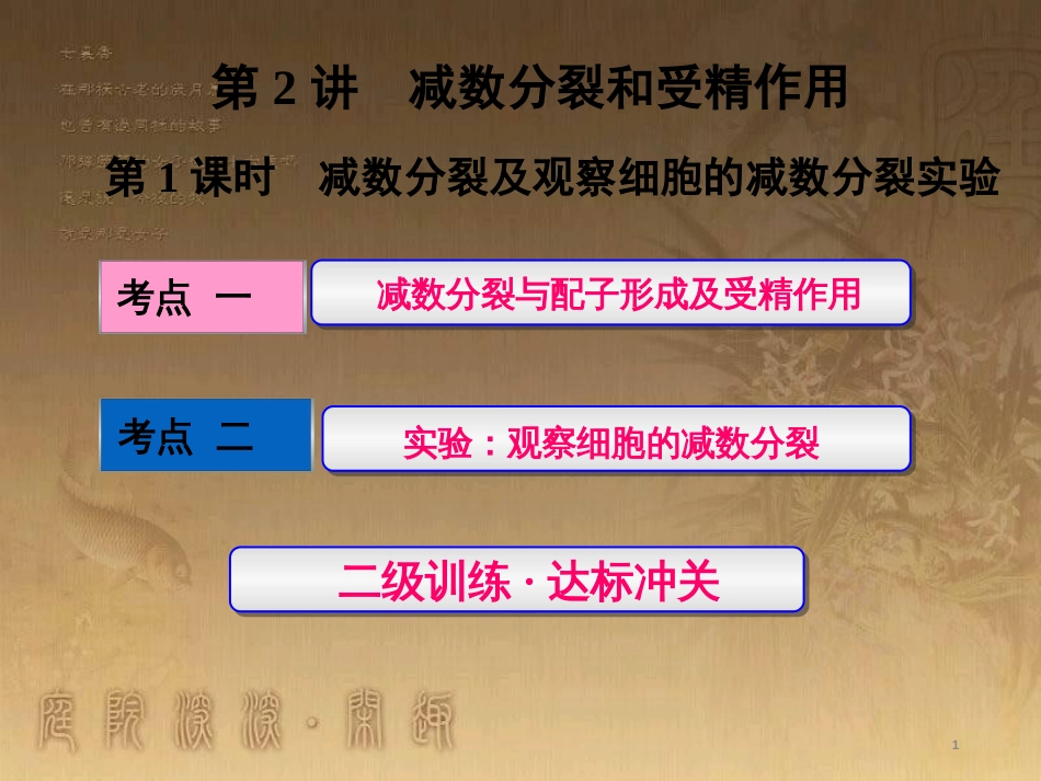 高考生物一轮复习 第二单元 基因的本质与表达 第1讲 DNA是主要的遗传物质课件（必修2） (25)_第1页