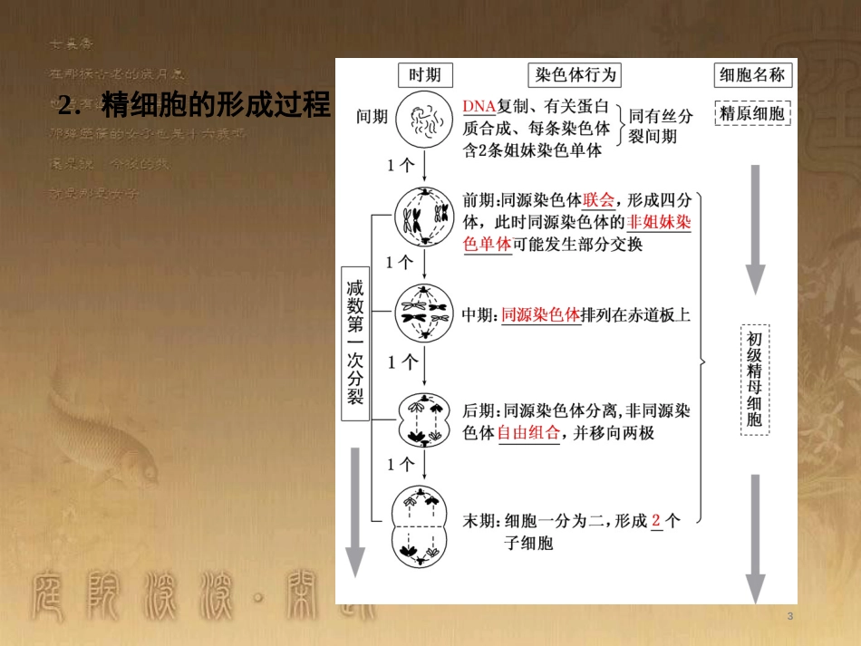 高考生物一轮复习 第二单元 基因的本质与表达 第1讲 DNA是主要的遗传物质课件（必修2） (25)_第3页