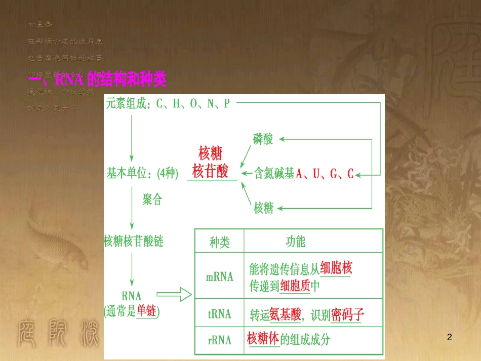 高考生物一轮复习 第八单元 生命活动的调节 第二讲 通过神经系统的调节课件 新人教版 (110)_第2页