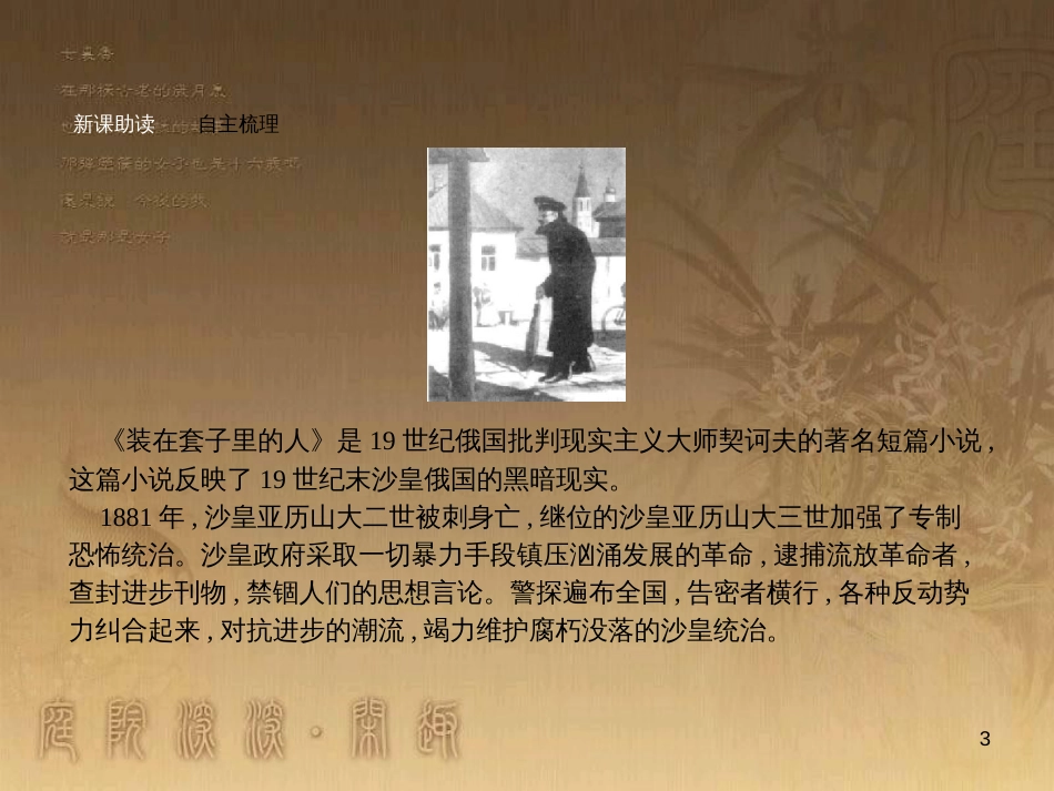 高中语文 第一单元 装在套子里的人课件1 新人教版必修5_第3页