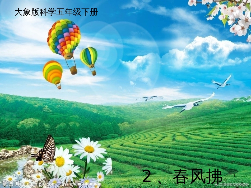 八年级生物下册 13.1 生物的分类课件1 北京版 (221)_第1页