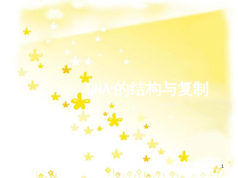 高考生物二轮复习 DNA的结构与复制专题课件_第1页