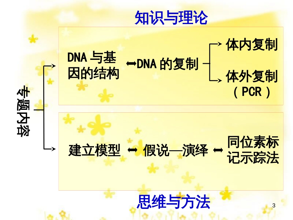 高考生物二轮复习 DNA的结构与复制专题课件_第3页