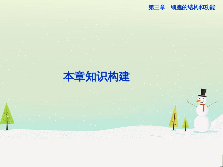 高中地理 第二章 第二节 森林的开发和保护——以亚马孙热带雨林为例课件 新人教版必修3 (212)_第1页