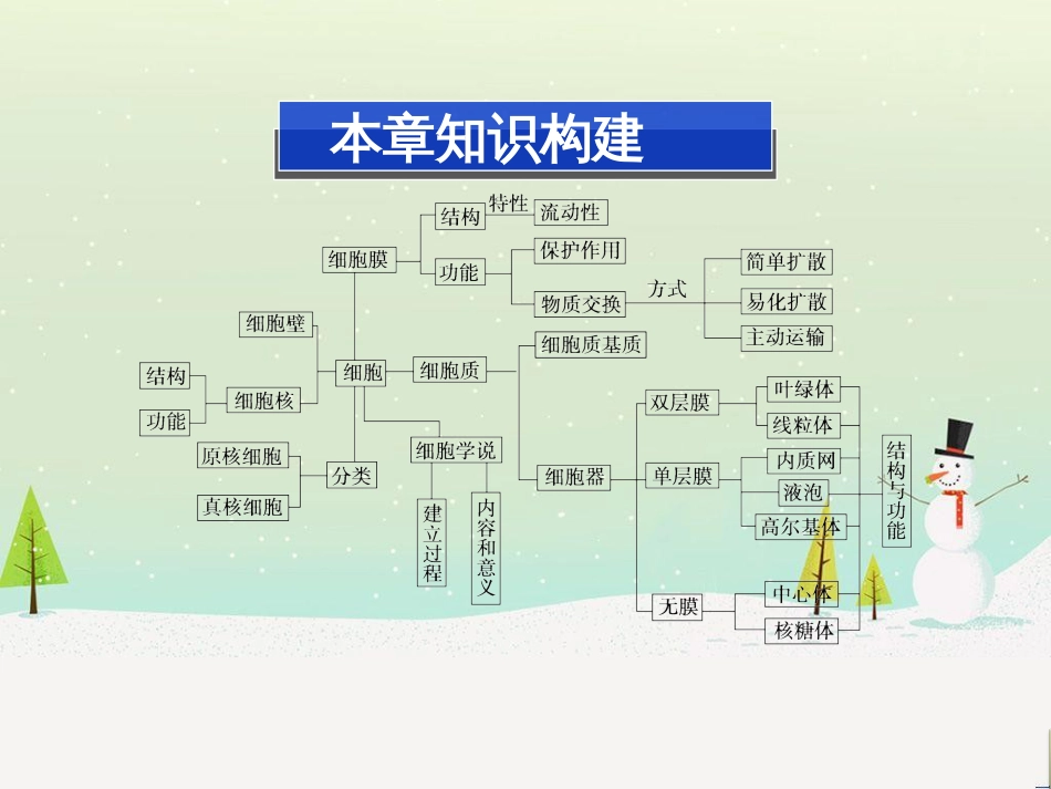 高中地理 第二章 第二节 森林的开发和保护——以亚马孙热带雨林为例课件 新人教版必修3 (212)_第2页