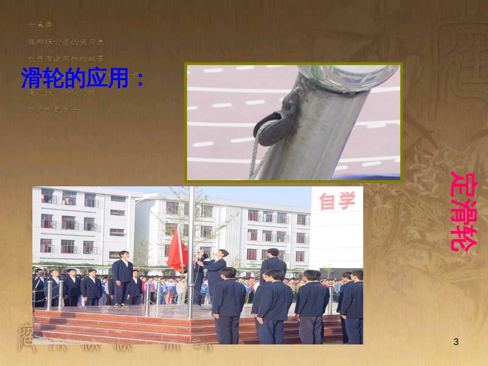 八年级生物下册 第七单元 第二章 第一节 基因控制生物的性状课件 （新版）新人教版 (9)_第3页