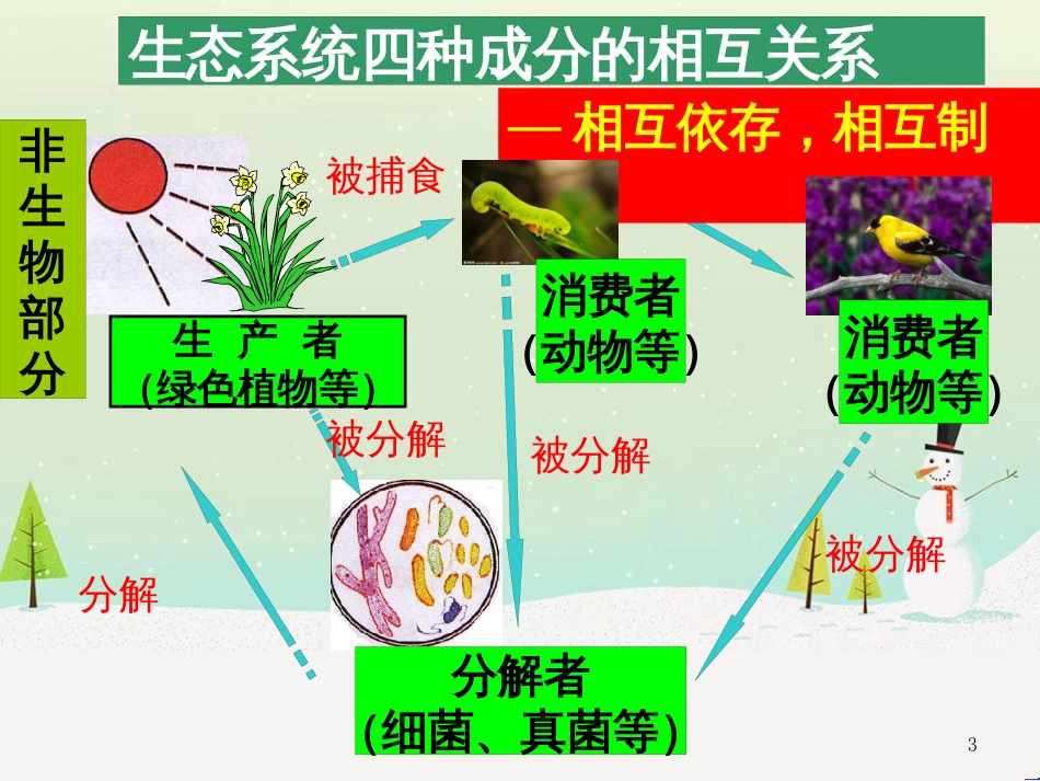 八年级生物上册 5.3《动物在生物圈中的作用》课件4 （新版）新人教版_第3页