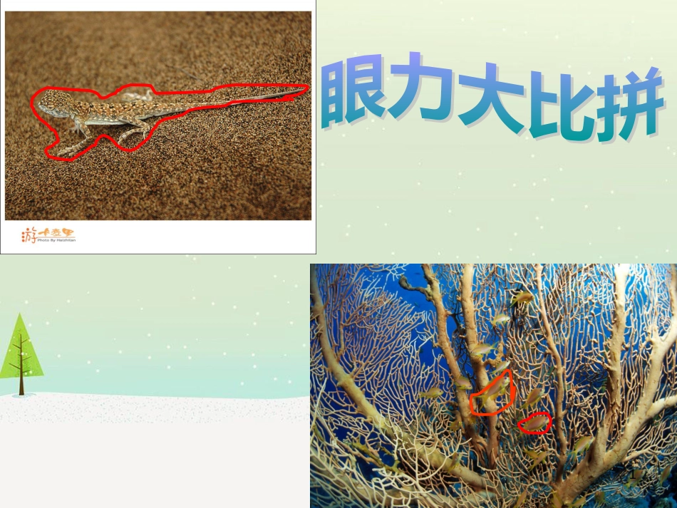 八年级生物下册 13.1 生物的分类课件1 北京版 (1295)_第1页
