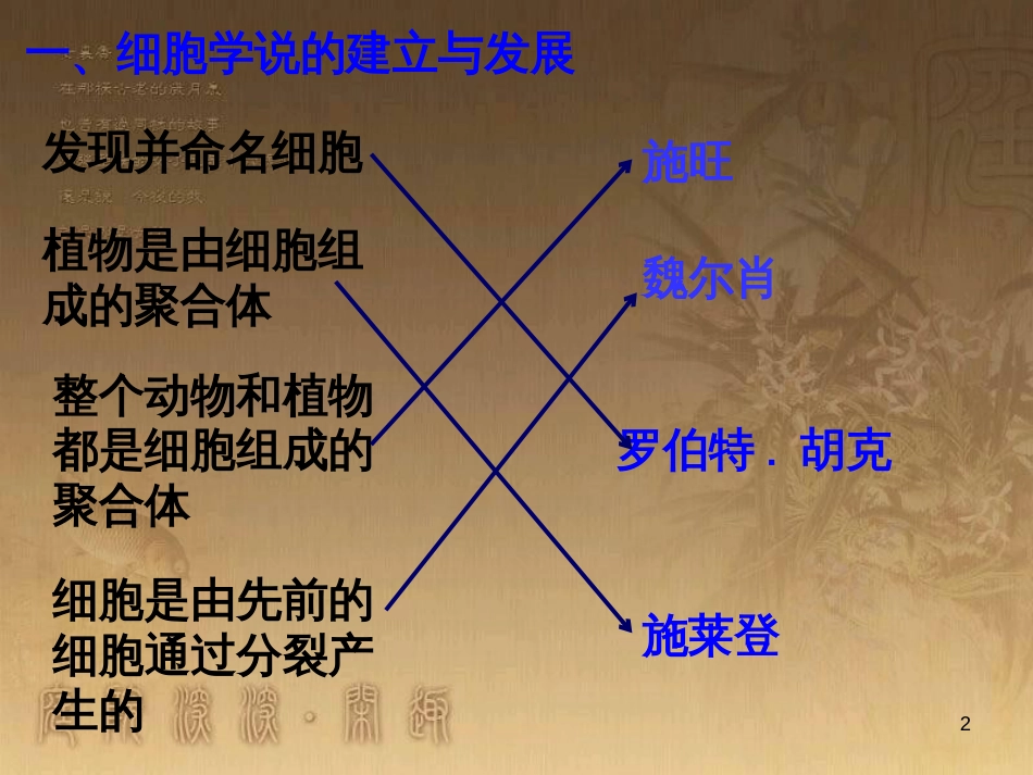 高中生物 5.4 色素提取课件（必修1） (18)_第2页