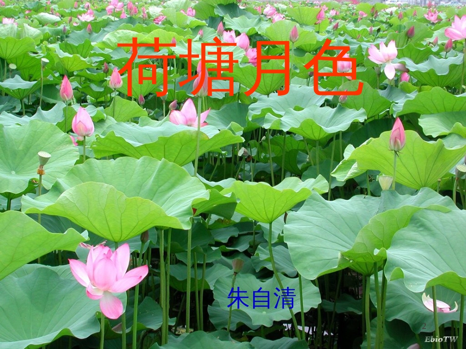 八年级生物下册 13.1 生物的分类课件1 北京版 (960)_第2页