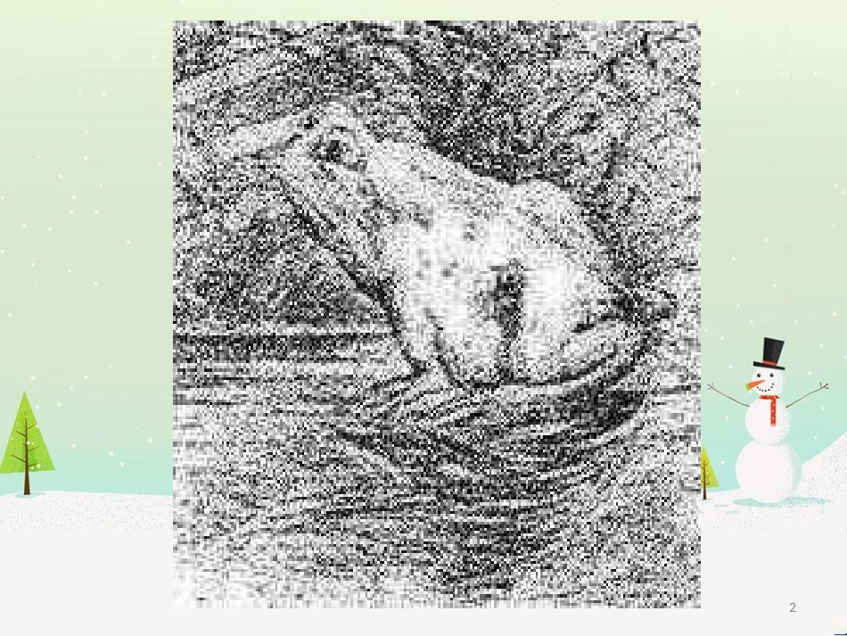 八年级生物下册 13.1 生物的分类课件1 北京版 (269)_第2页