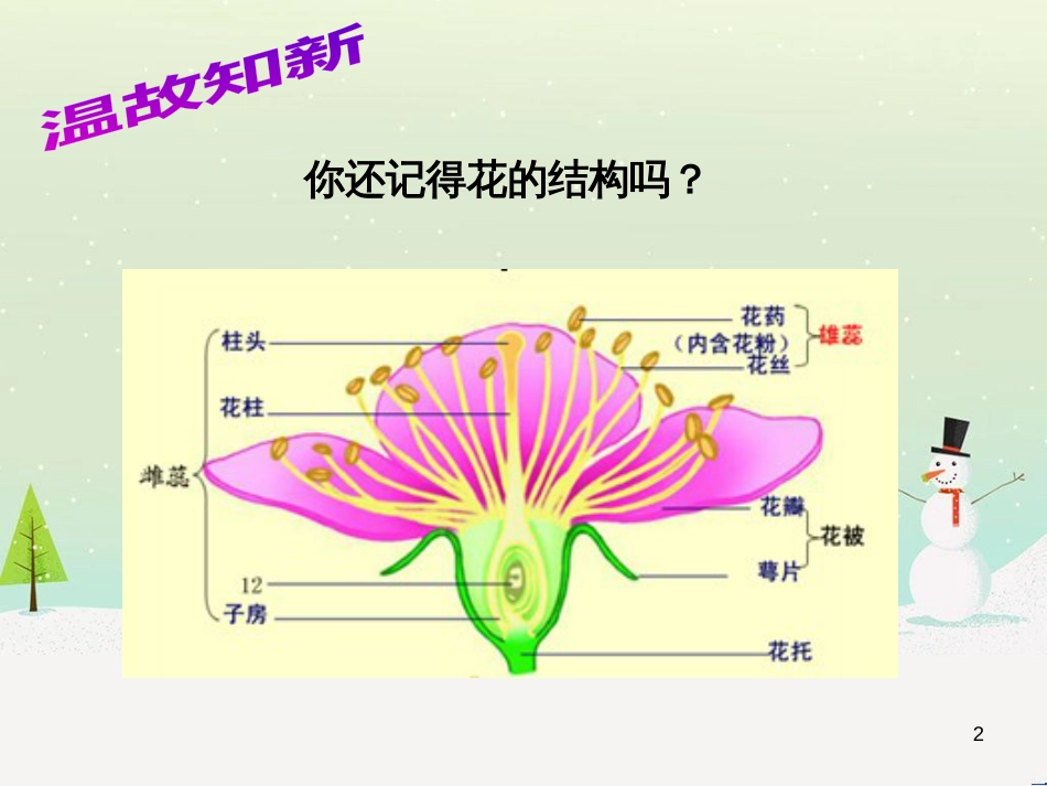 八年级生物上册 7.19.1《植物的生殖》课件2 （新版）苏科版_第2页