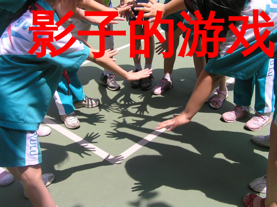 八年级生物下册 13.1 生物的分类课件1 北京版 (51)_第1页