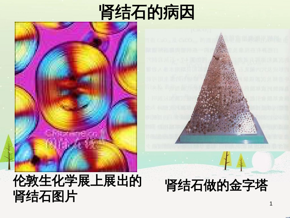 八年级物理上册 1.3《活动降落伞比赛》课件 （新版）教科版 (2757)_第1页
