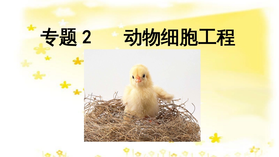 高中生物 专题2 动物细胞工程课件 新人教版选修3_第1页