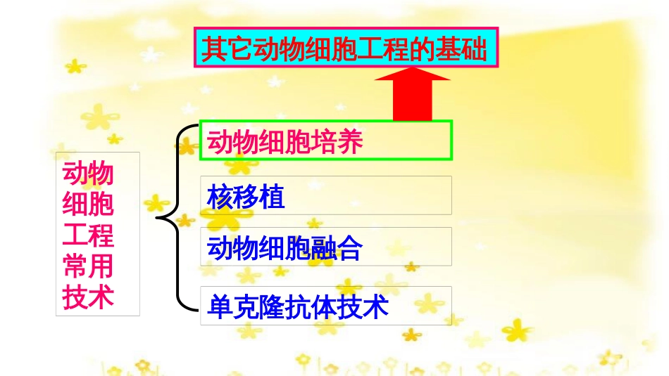 高中生物 专题2 动物细胞工程课件 新人教版选修3_第3页