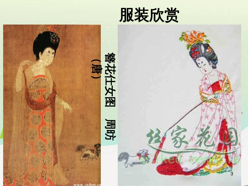 八年级生物下册 13.1 生物的分类课件1 北京版 (878)_第3页