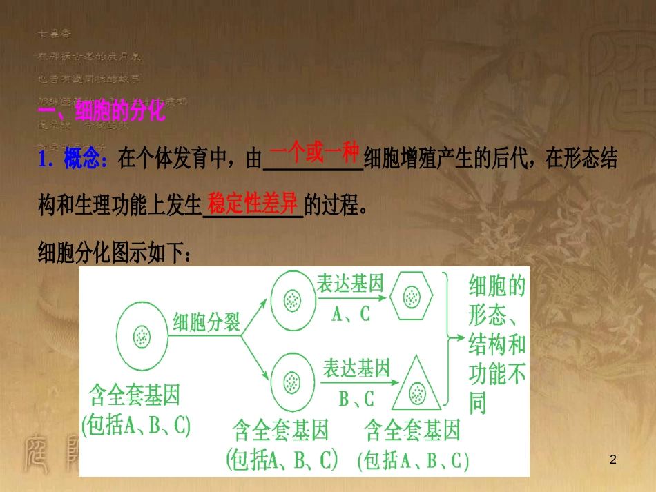 高考生物一轮复习 第八单元 生命活动的调节 第二讲 通过神经系统的调节课件 新人教版 (86)_第2页