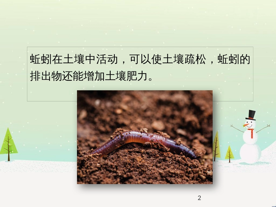 八年级生物上册 1.1.2《生物与环境的相互影响》（第2课时）课件2 （新版）新人教版_第2页