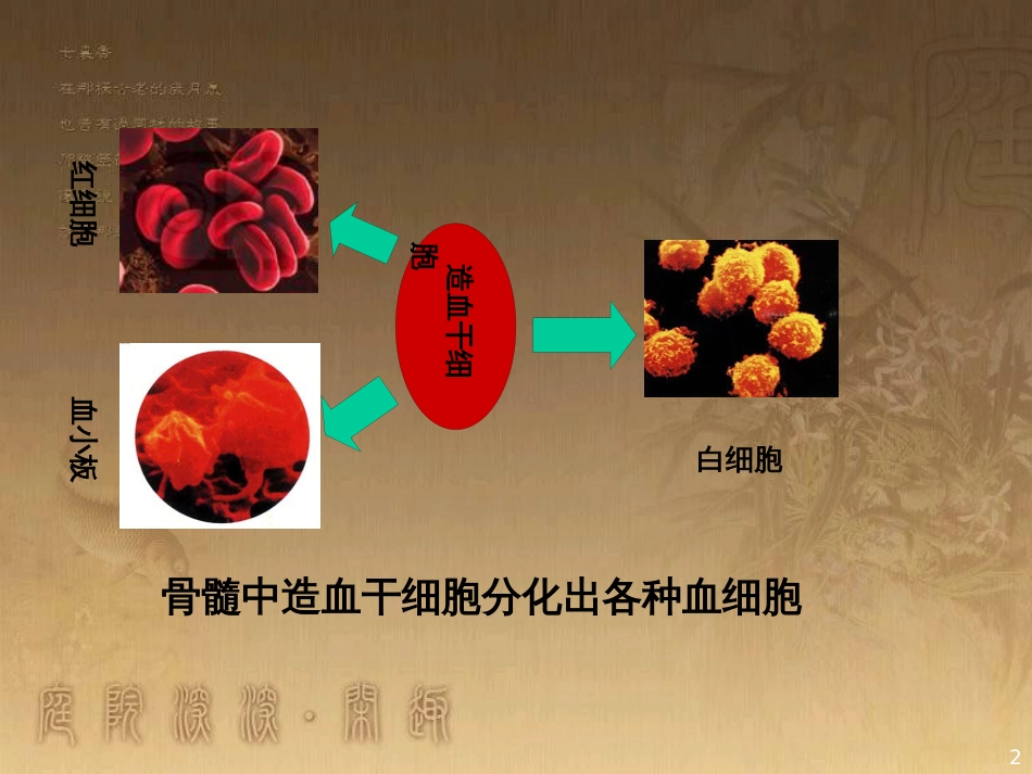 高中语文 11包身工课件 新人教版必修1 (26)_第2页