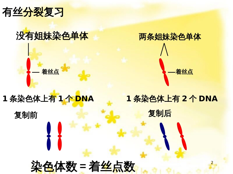 高中生物 2.1 减数分裂和受精作用课件 新人教版必修2_第2页