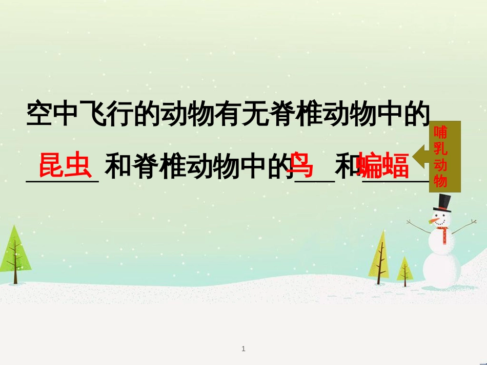 八年级生物上册 5.1.6《鸟》课件4 （新版）新人教版_第1页