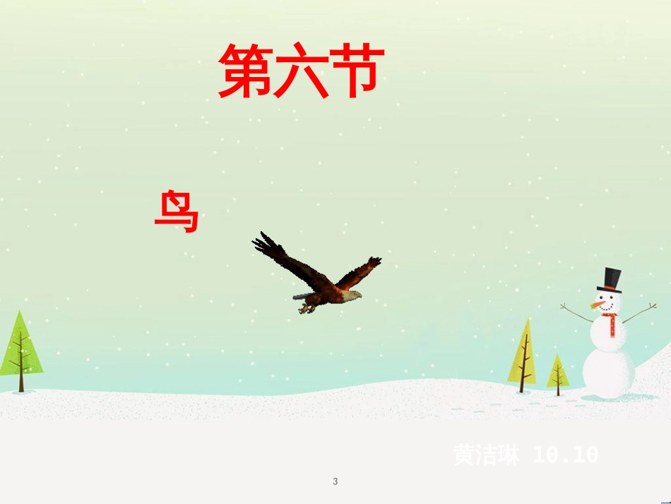八年级生物上册 5.1.6《鸟》课件4 （新版）新人教版_第3页