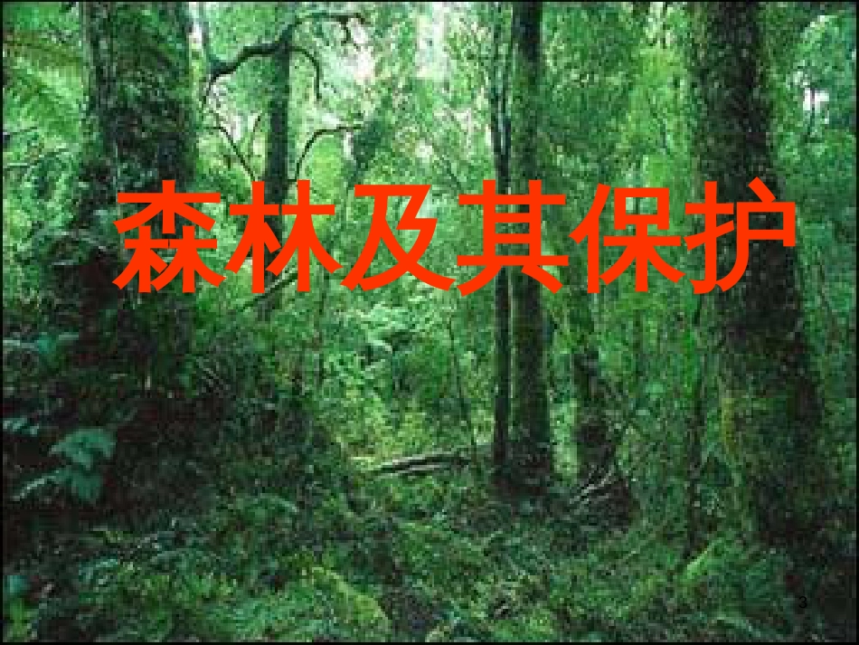 高中地理 第四章 生态环境保护 4.1 森林及其保护课件 新人教版选修6_第3页