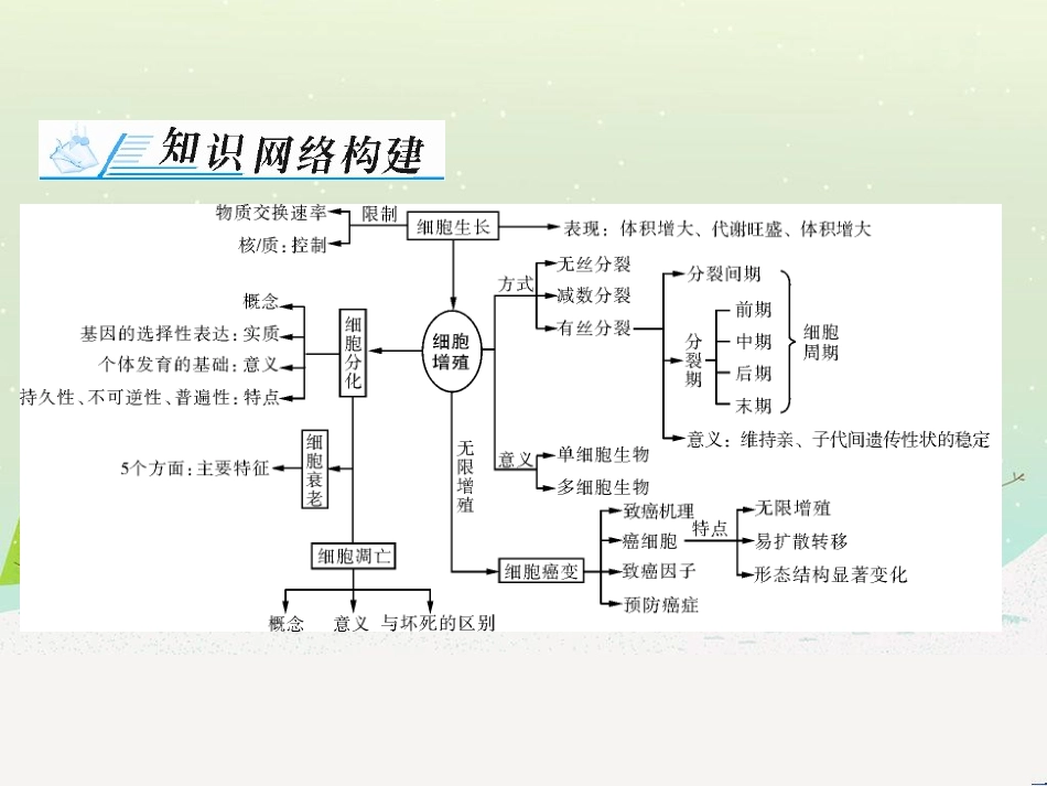 高考地理 技法点拨——气候 1 (575)_第2页