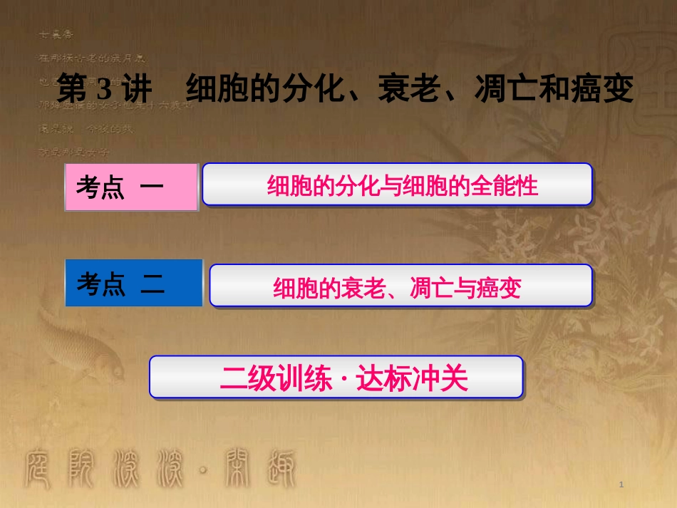 高考生物一轮复习 第二单元 基因的本质与表达 第1讲 DNA是主要的遗传物质课件（必修2） (23)_第1页