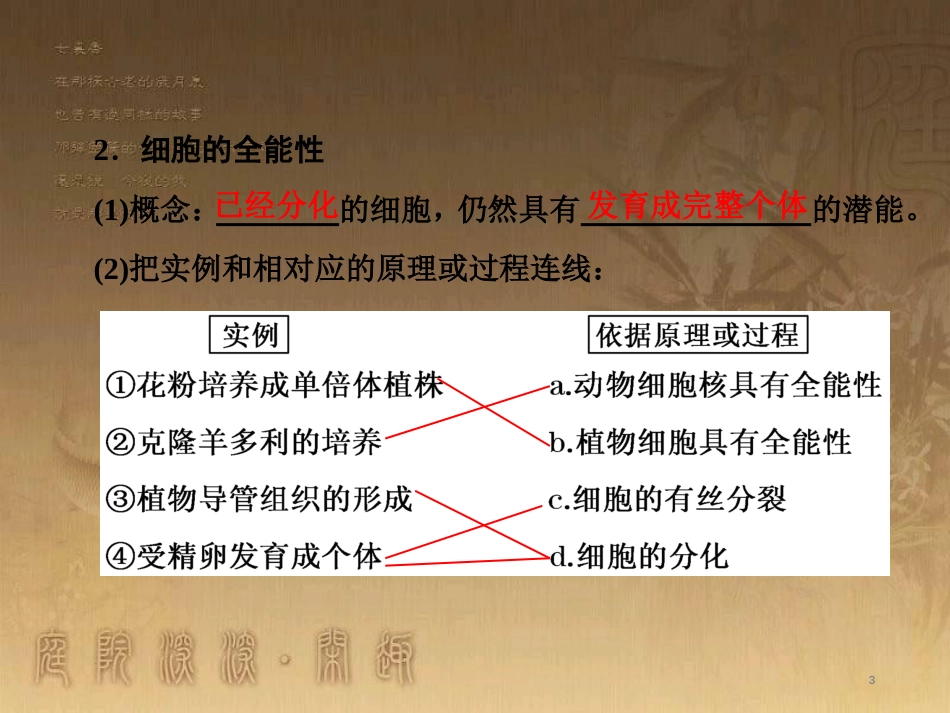 高考生物一轮复习 第二单元 基因的本质与表达 第1讲 DNA是主要的遗传物质课件（必修2） (23)_第3页