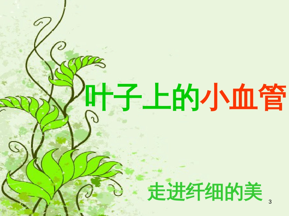八年级生物下册 13.1 生物的分类课件1 北京版 (1256)_第3页