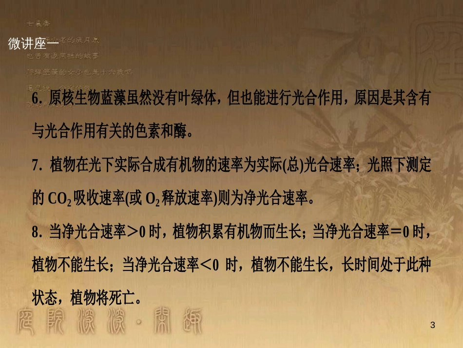 高考生物一轮复习 第八单元 生命活动的调节 第二讲 通过神经系统的调节课件 新人教版 (97)_第3页