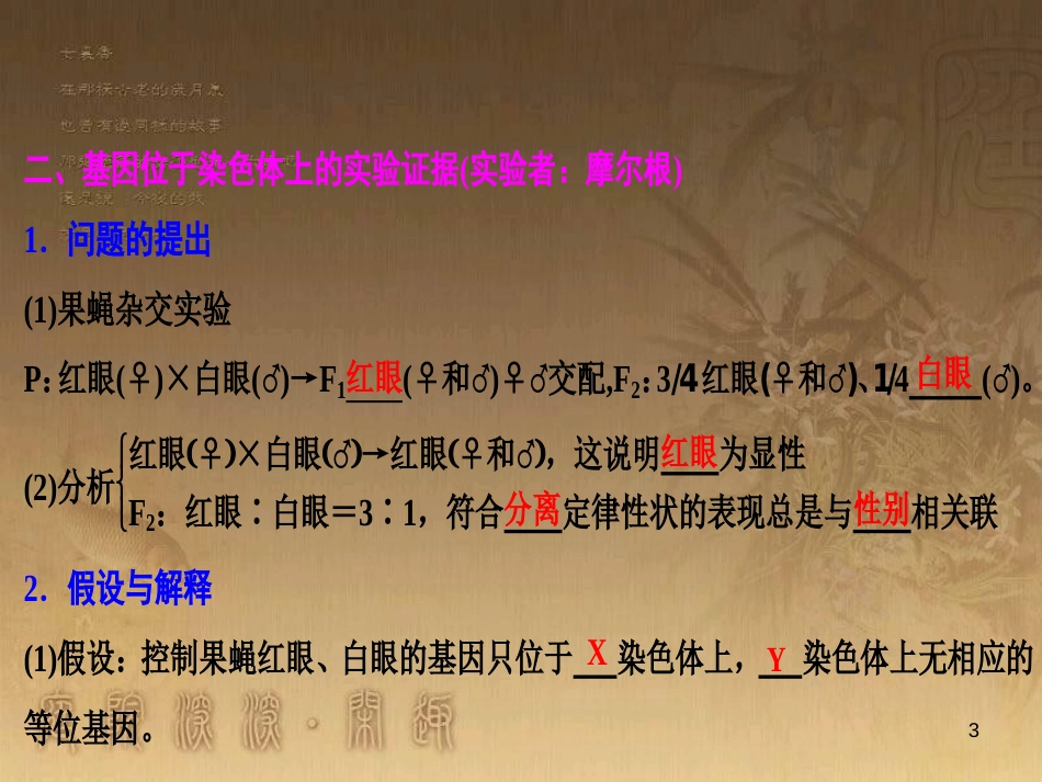 高考生物一轮复习 第八单元 生命活动的调节 第二讲 通过神经系统的调节课件 新人教版 (82)_第3页