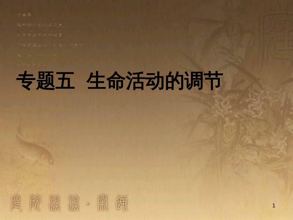 高三生物二轮复习 实验设计题的解题策略课件 (3)_第1页