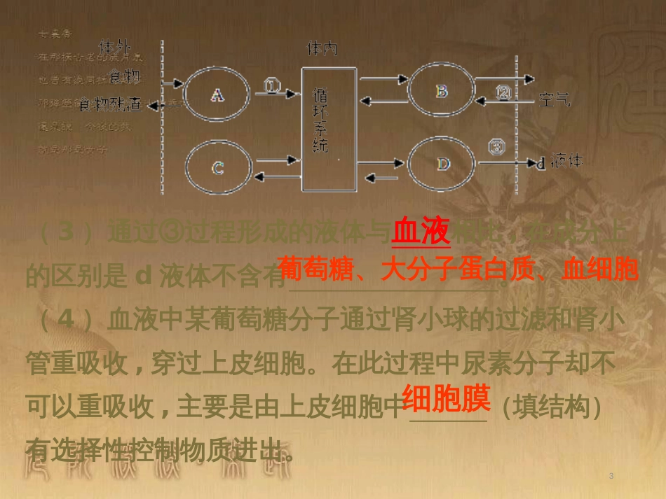 八年级生物下册 第二轮复习 生物圈中的人专题课件 新人教版 (25)_第3页