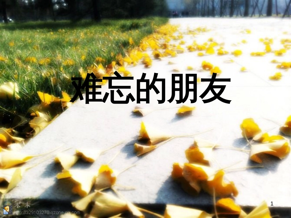八年级生物下册 13.1 生物的分类课件1 北京版 (673)_第1页