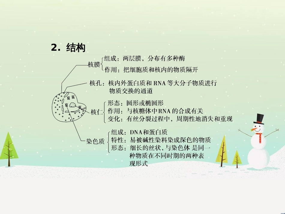 高中地理 第二章 第二节 森林的开发和保护——以亚马孙热带雨林为例课件 新人教版必修3 (215)_第3页