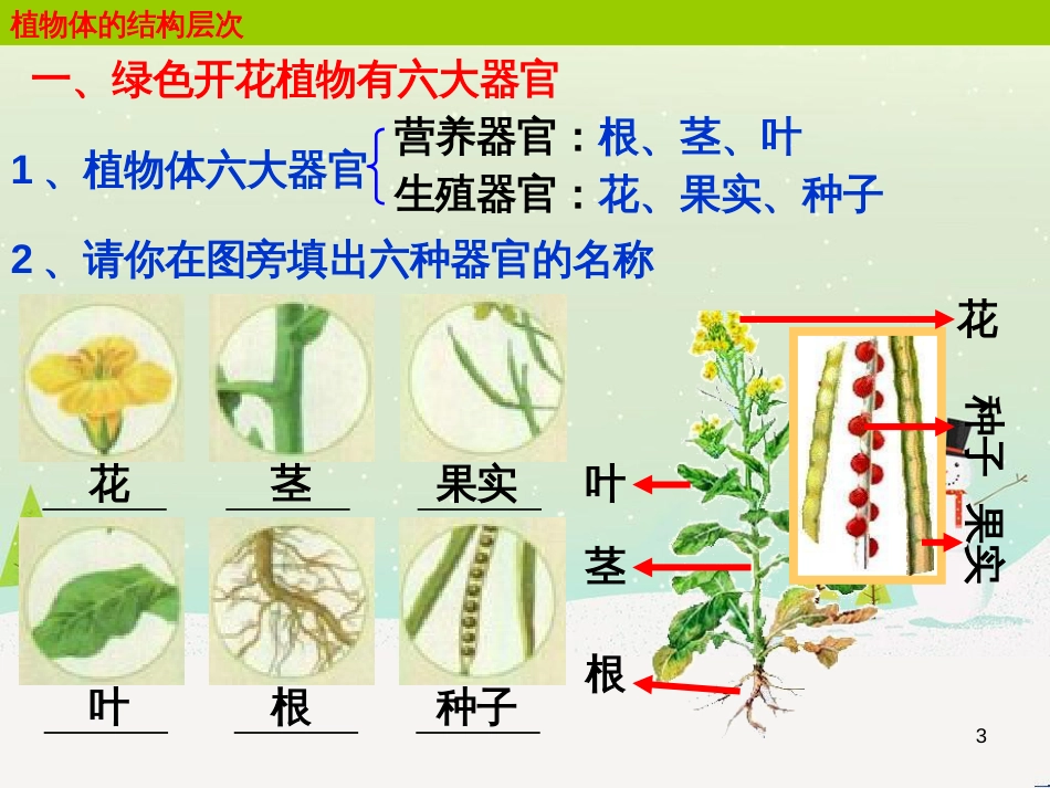 八年级物理上册 1.3《活动降落伞比赛》课件 （新版）教科版 (240)_第3页